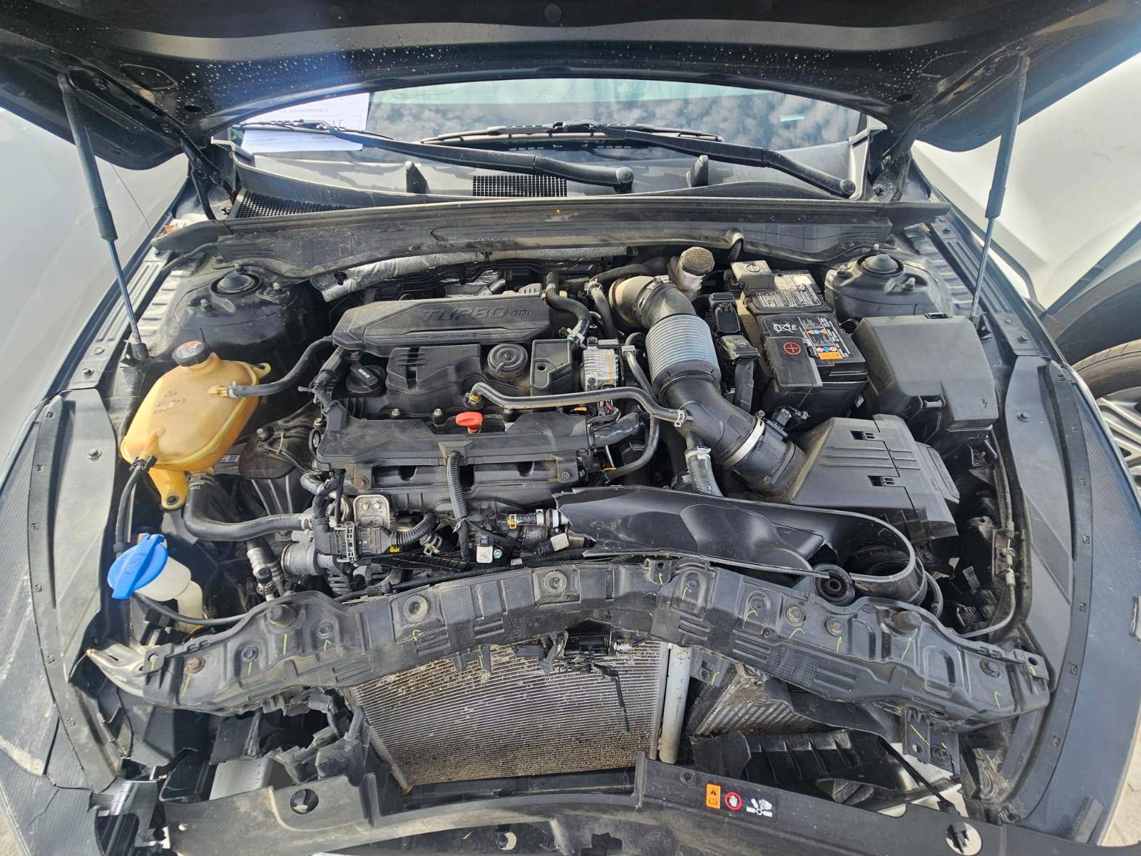 KIA K5 2023 - Marhaba Auction Used Cars - Image 11