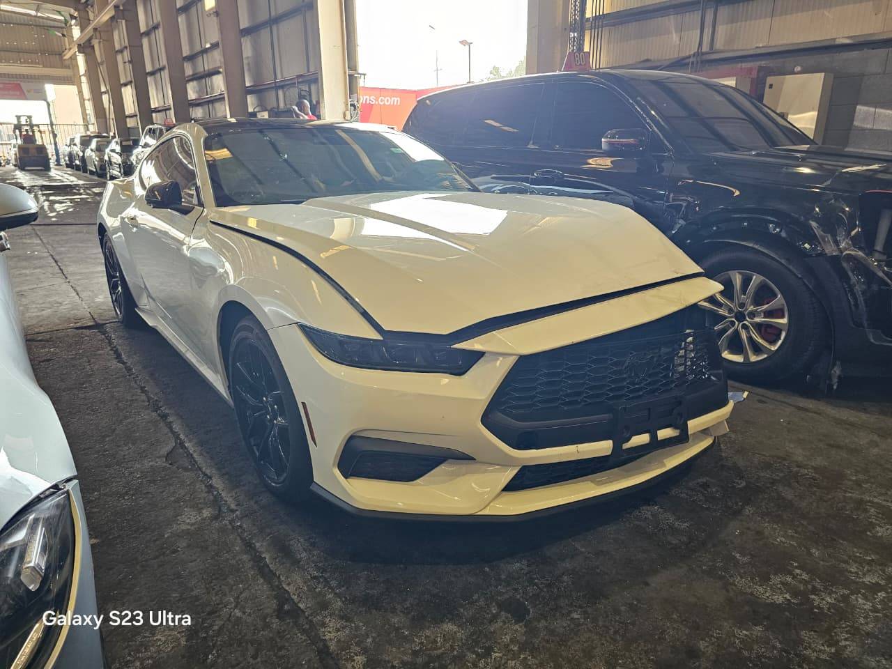 FORD MUSTANG 2025 - Marhaba Auction Used Cars - Image 3