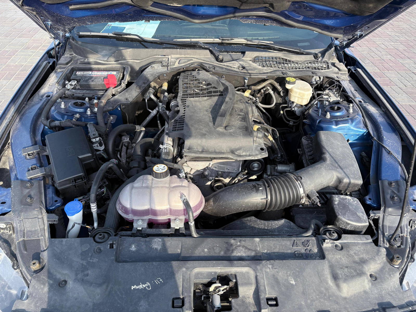 FORD MUSTANG 2023 - Marhaba Auction Used Cars - Image 19