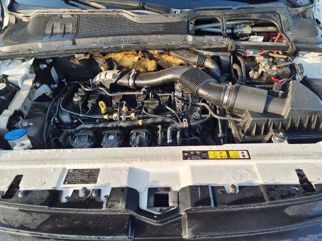 LAND ROVER RANGE ROVER EVOQUE PURE PLUS 2014 - Marhaba Auction Used Cars - Image 11