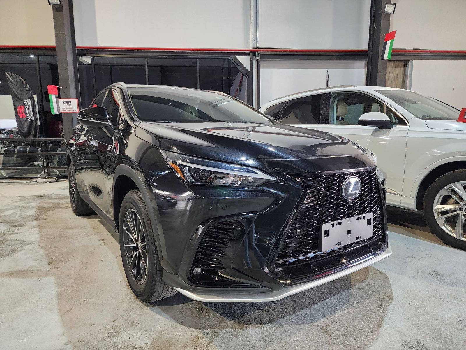 2024 LEXUS NX 250 — 4642 Miles — Lot 60694814 — Al Quoz - Marhaba Auctions Used Cars - Image 3
