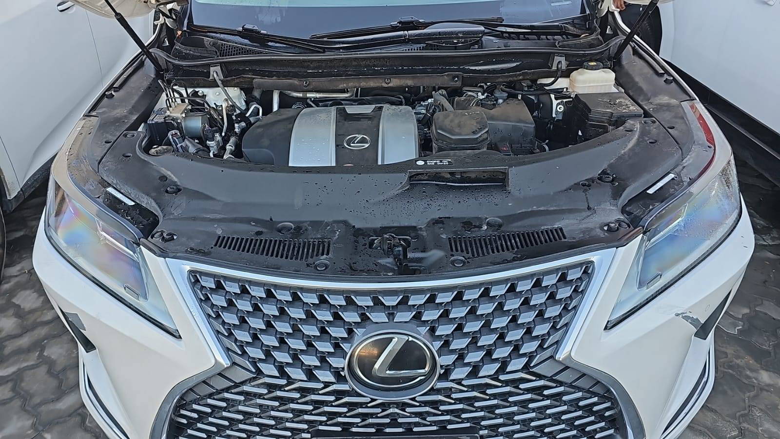 LEXUS RX 350 2020 - Marhaba Auction Used Cars - Image 4