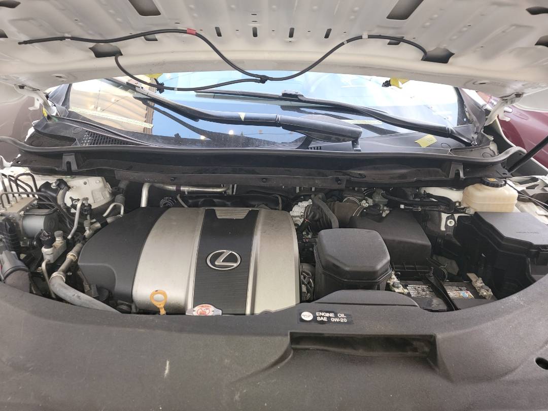 2019 LEXUS RX 350 — 12061 Miles — Lot 118329 - Marhaba Auctions Used Cars - Image 10