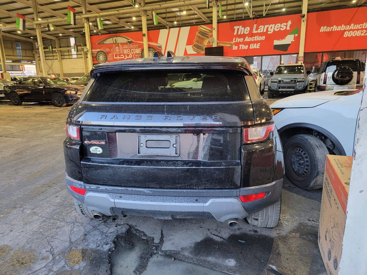 LAND ROVER RANGE ROVER EVOQUE 2016 - Marhaba Auction Used Cars - Image 5