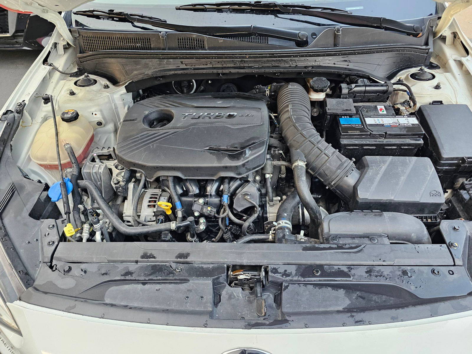 2021 KIA FORTE — 67449 Miles — Lot ME275401 — Souq - Marhaba Auctions Used Cars - Image 12
