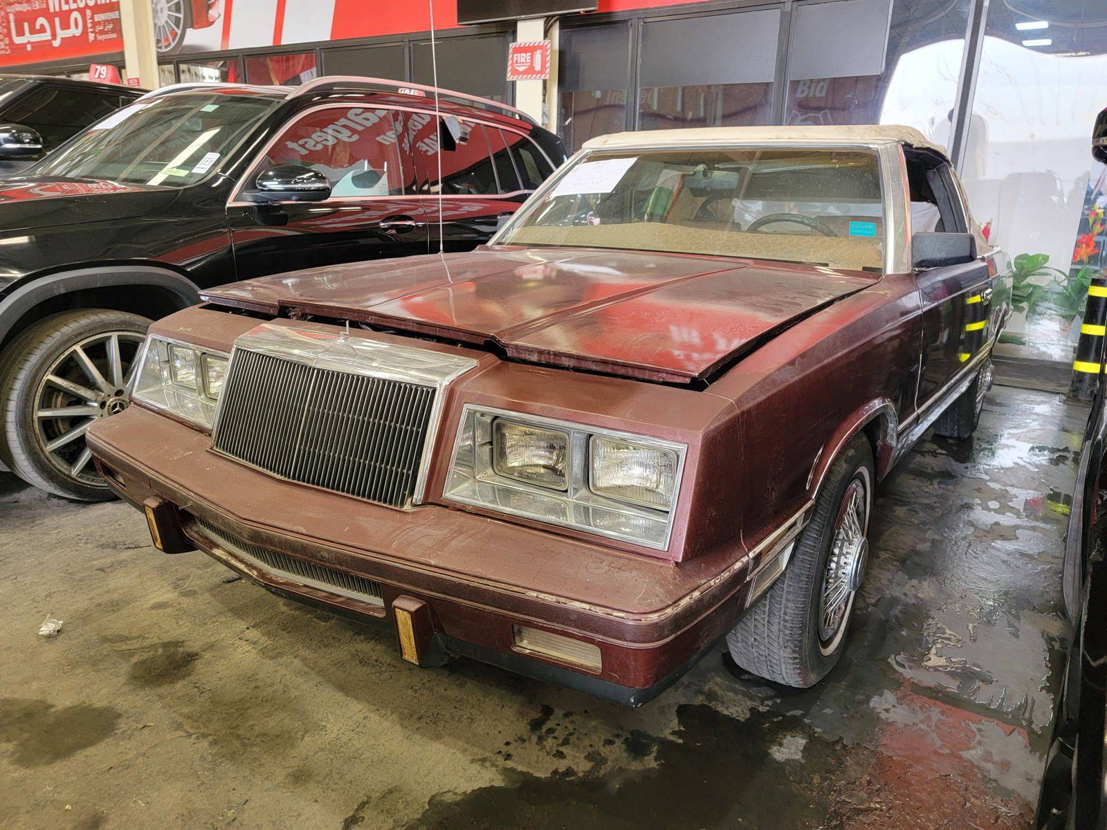 CHRYSLER brawler coupe 1983 - Marhaba Auction Used Cars - Image 3