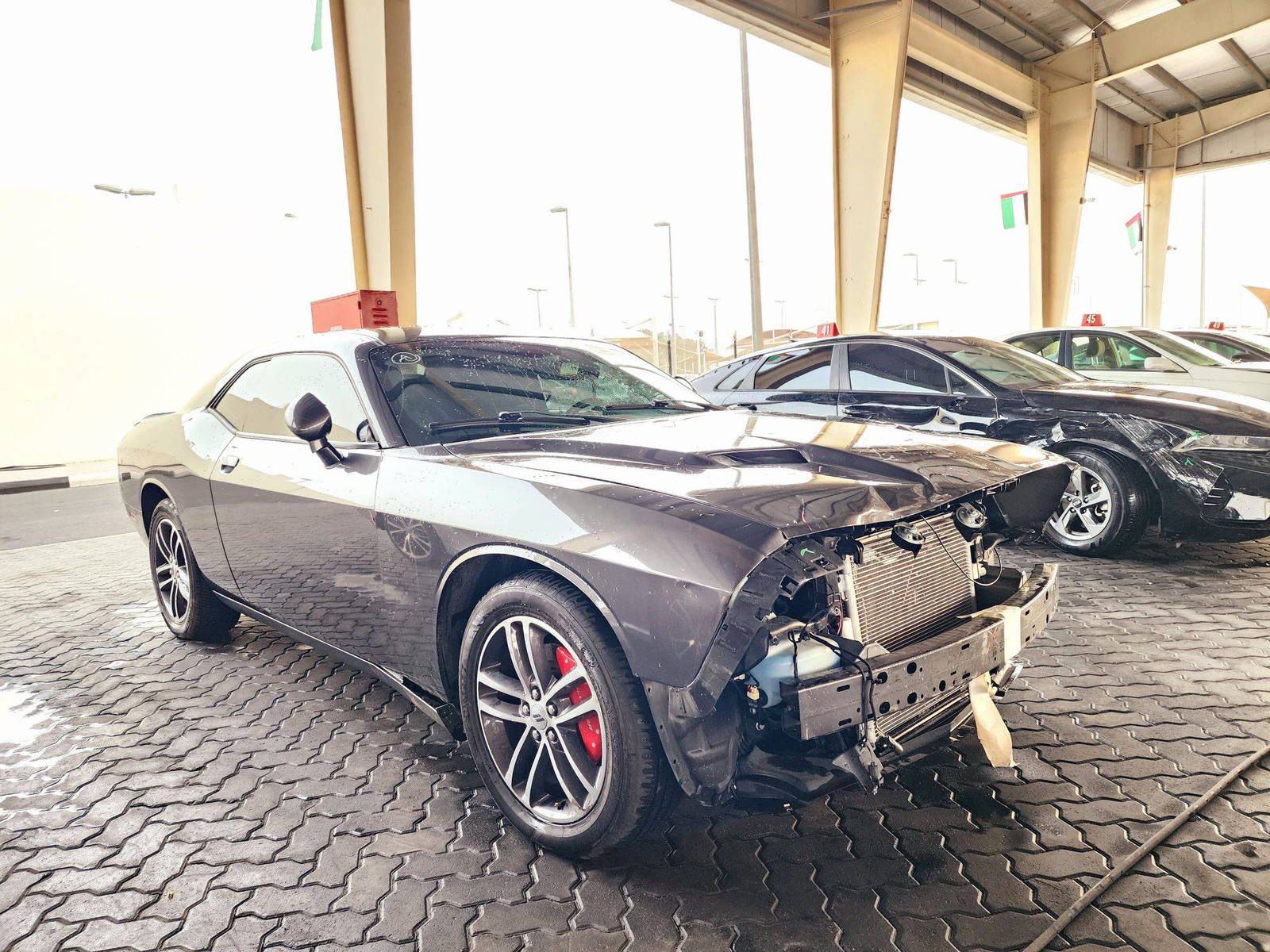 2019 DODGE CHALLENGER — 62616 Miles — Lot 66500754 — Souq - Marhaba Auctions Used Cars - Image 5