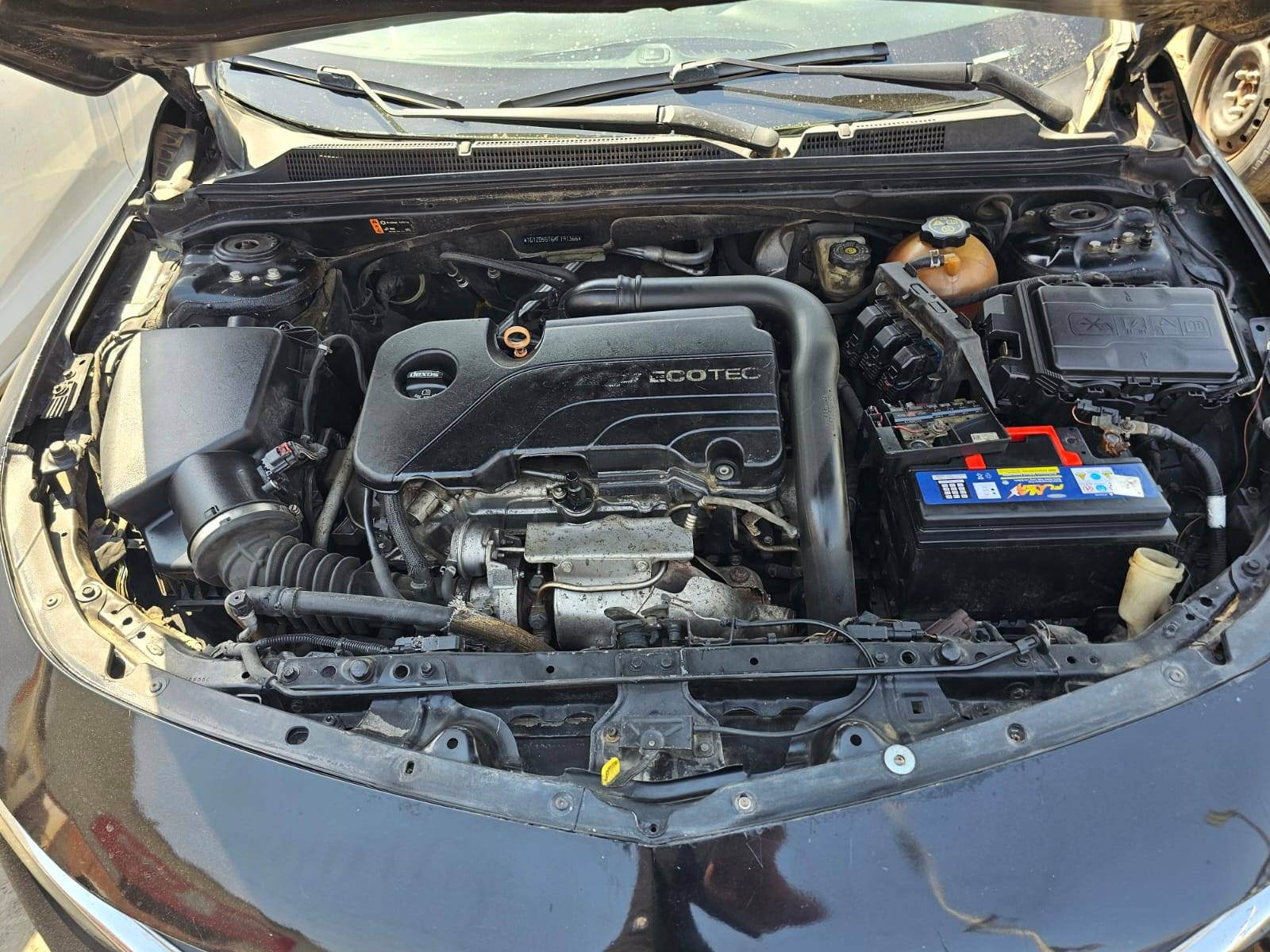 CHEVROLET MALIBU 2019 - Marhaba Auction Used Cars - Image 6