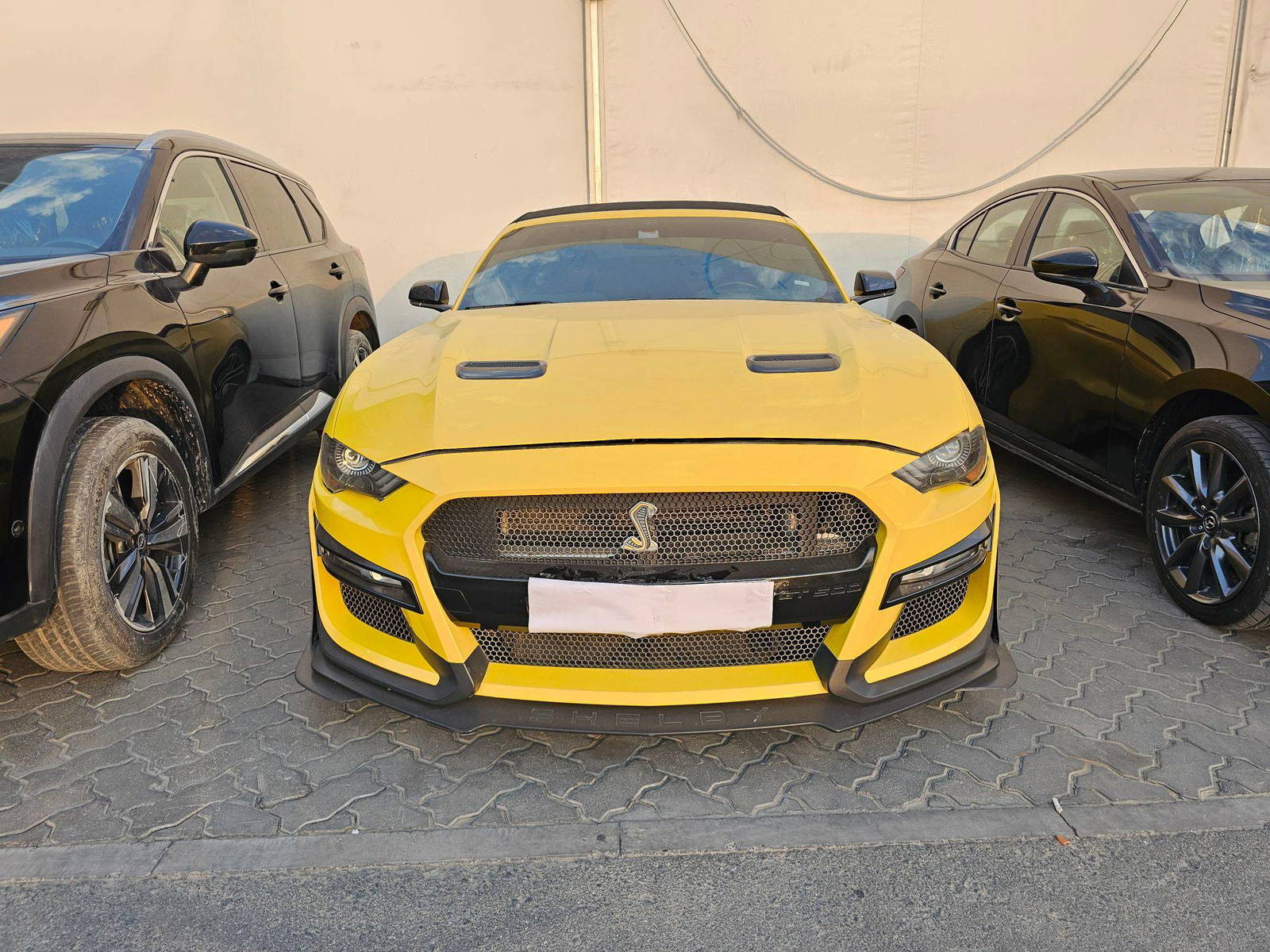 FORD MUSTANG 2019 - Marhaba Auction Used Cars - Image 3