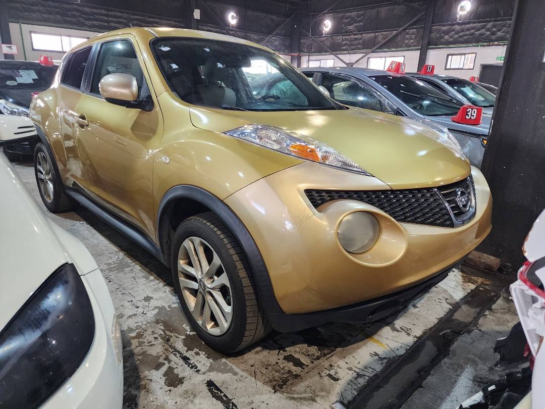NISSAN JUKE