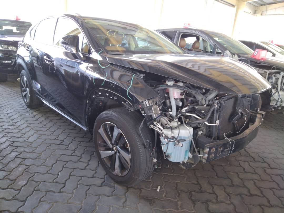 2021 LEXUS NX 300 — 36206 Miles — Lot 2121210 - Marhaba Auctions Used Cars - Image 11