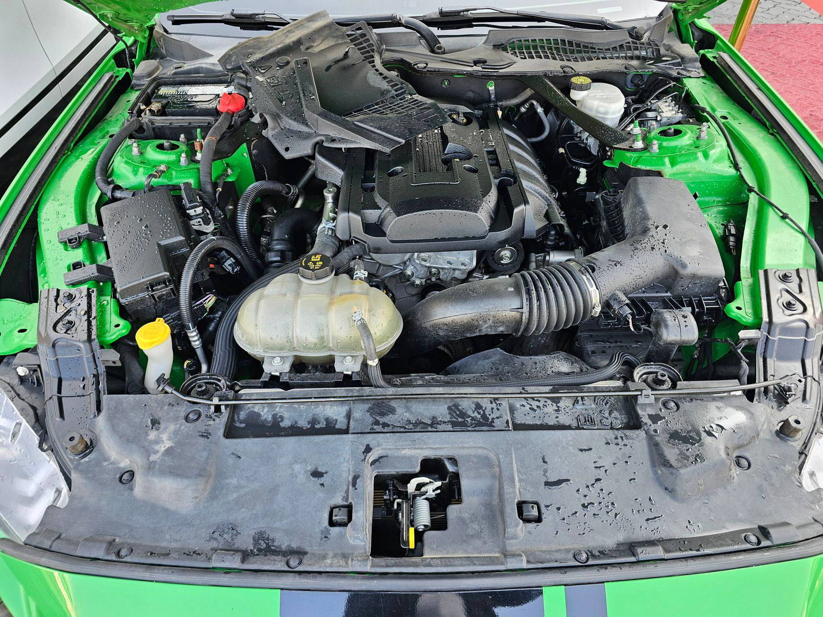 FORD MUSTANG 2019 - Marhaba Auction Used Cars - Image 11