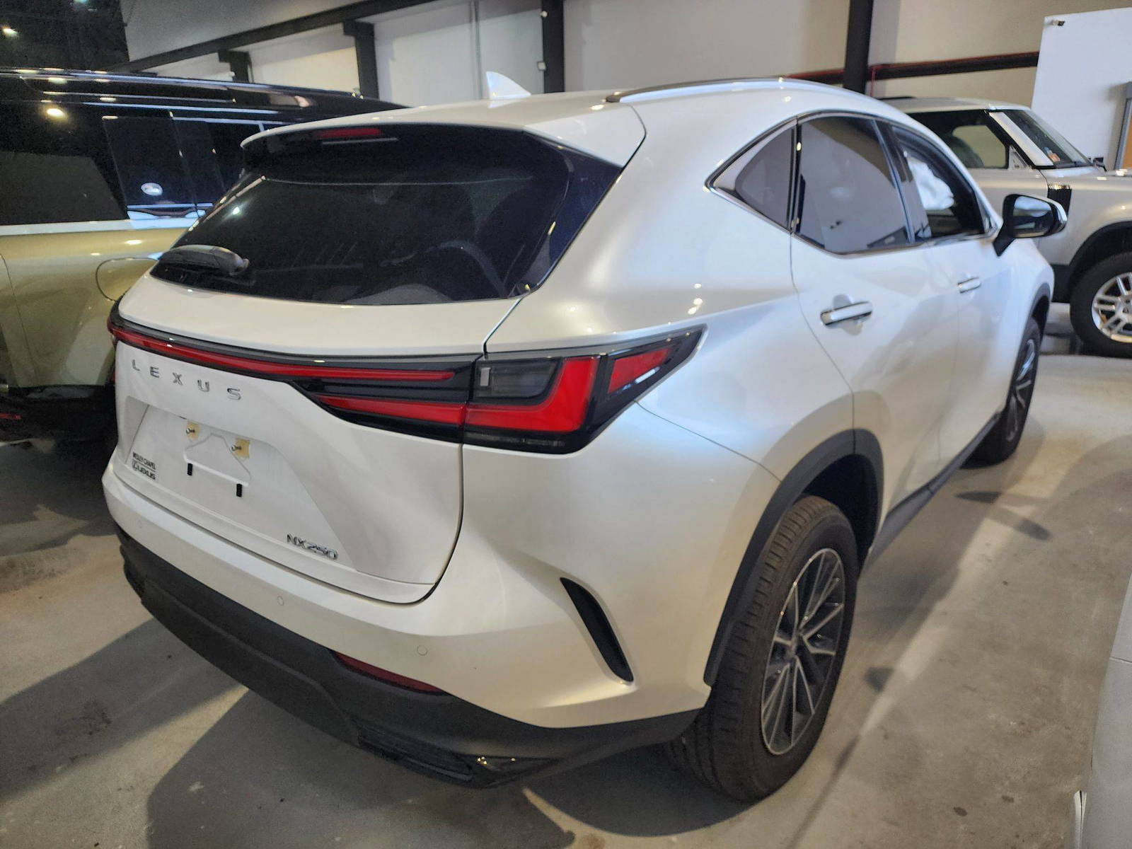 2024 LEXUS NX 250 — 1596 Miles — Lot 39394073 — Al Quoz - Marhaba Auctions Used Cars - Image 5