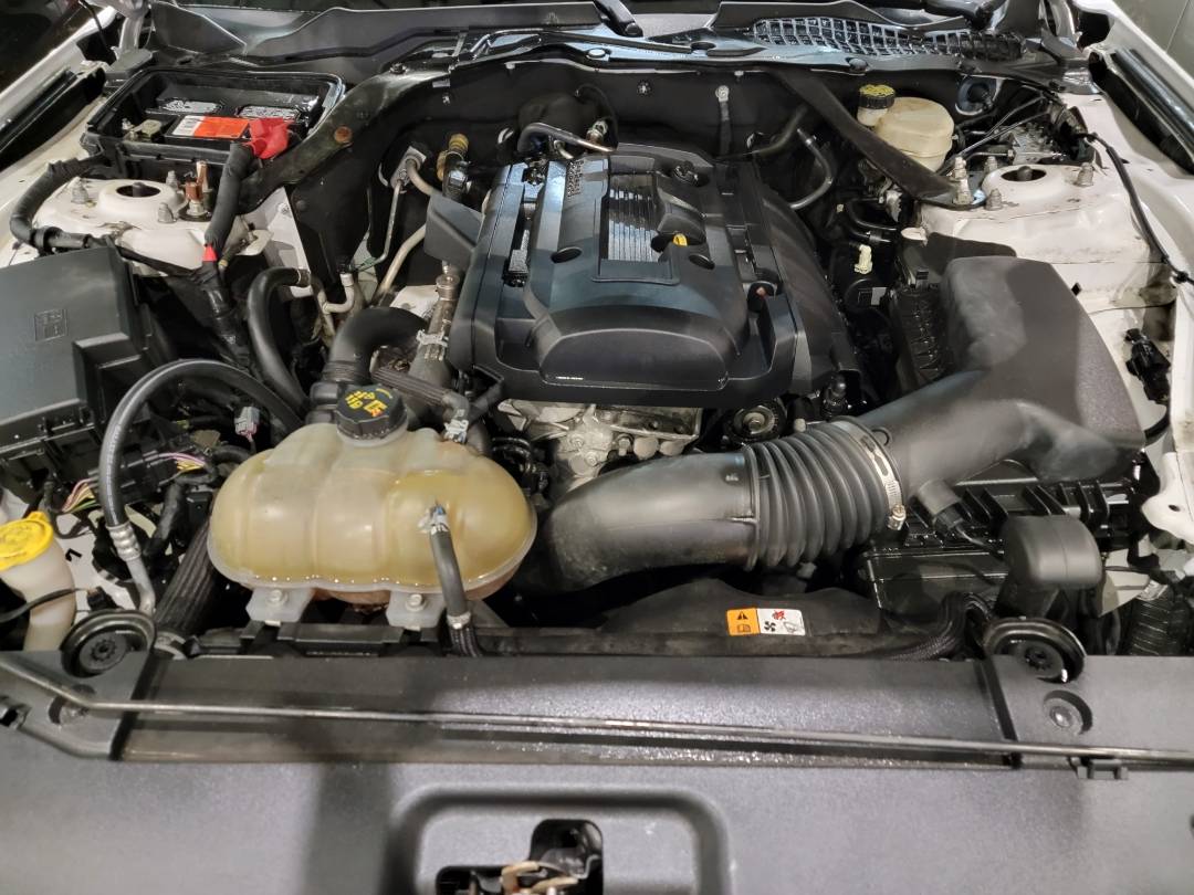 2017 FORD MUSTANG — 99429 Miles — Lot 8H5220336 — Main - Marhaba Auctions Used Cars - Image 8