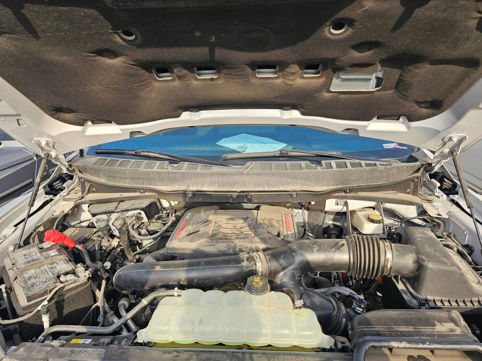 FORD F150 - Raptor 2025 - Marhaba Auction Used Cars - Image 12