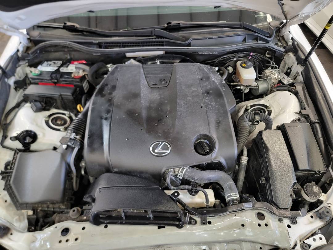 2014 LEXUS IS 250 — 95481 Miles — Lot 9E5033824 — Main - Marhaba Auctions Used Cars - Image 10
