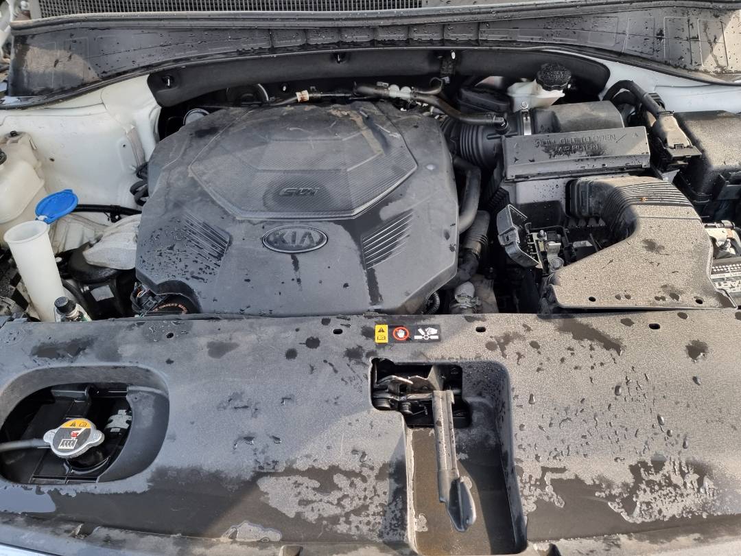 2019 KIA SORENTO — 115747 Miles — Lot 215487 — Ind. 12 - Marhaba Auctions Used Cars - Image 11