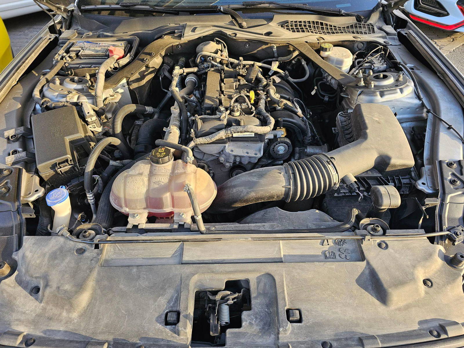 FORD MUSTANG 2022 - Marhaba Auction Used Cars - Image 12