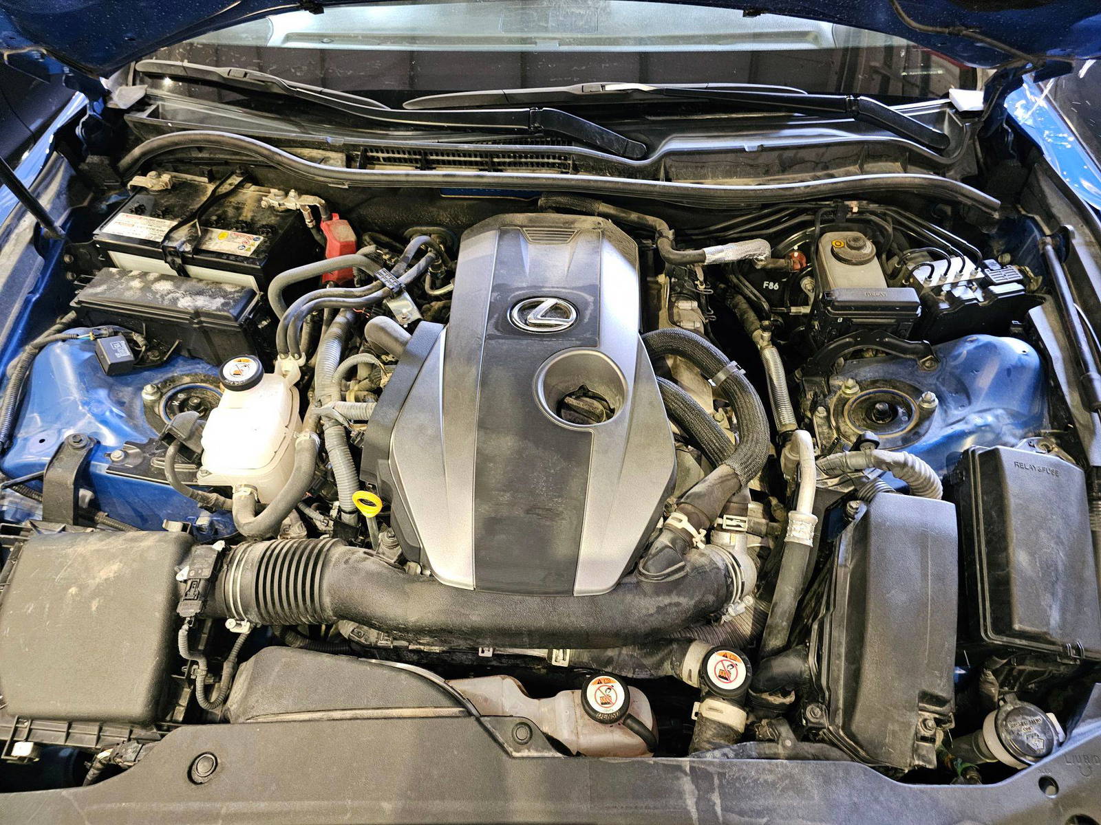 LEXUS IS 300 2023 - Marhaba Auction Used Cars - Image 12