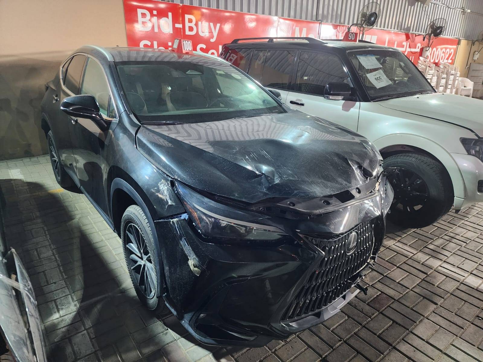 LEXUS NX 250