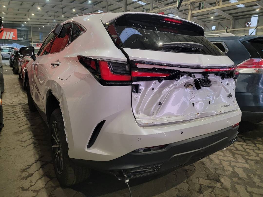 2023 LEXUS NX 250 — 6357 Miles — Lot 5010546 — Main - Marhaba Auctions Used Cars - Image 5