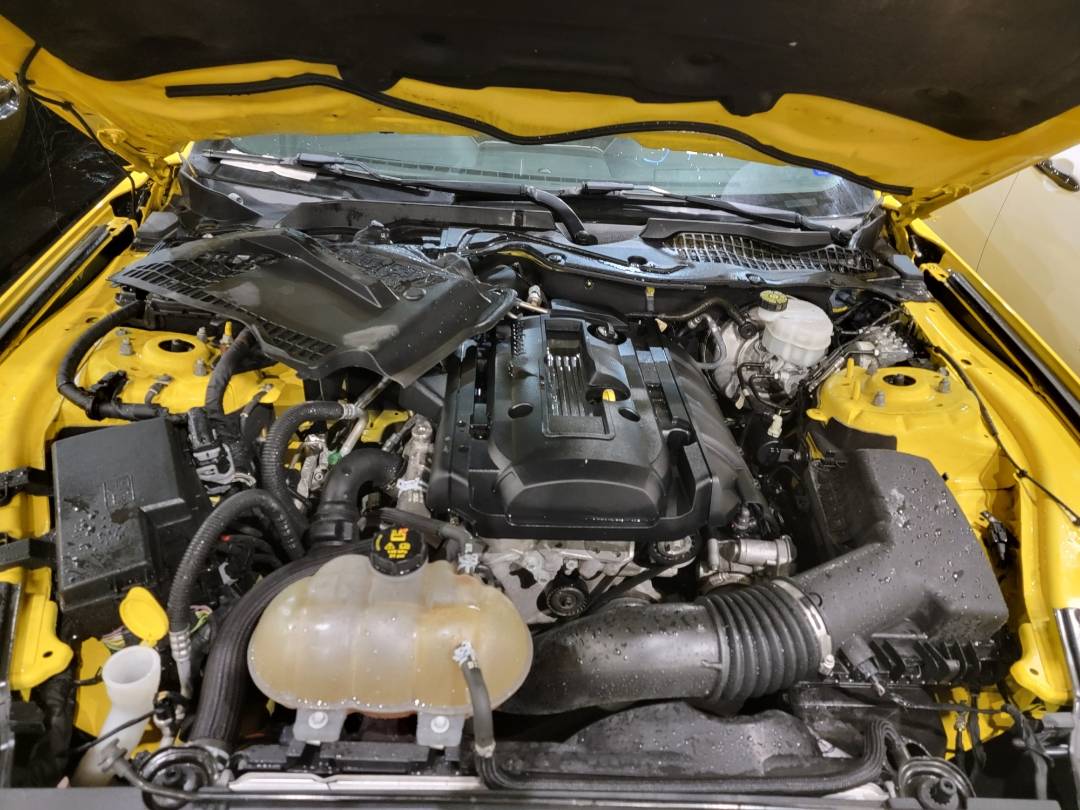 2018 FORD MUSTANG — 76545 Miles — Lot J5167386 - Marhaba Auctions Used Cars - Image 7