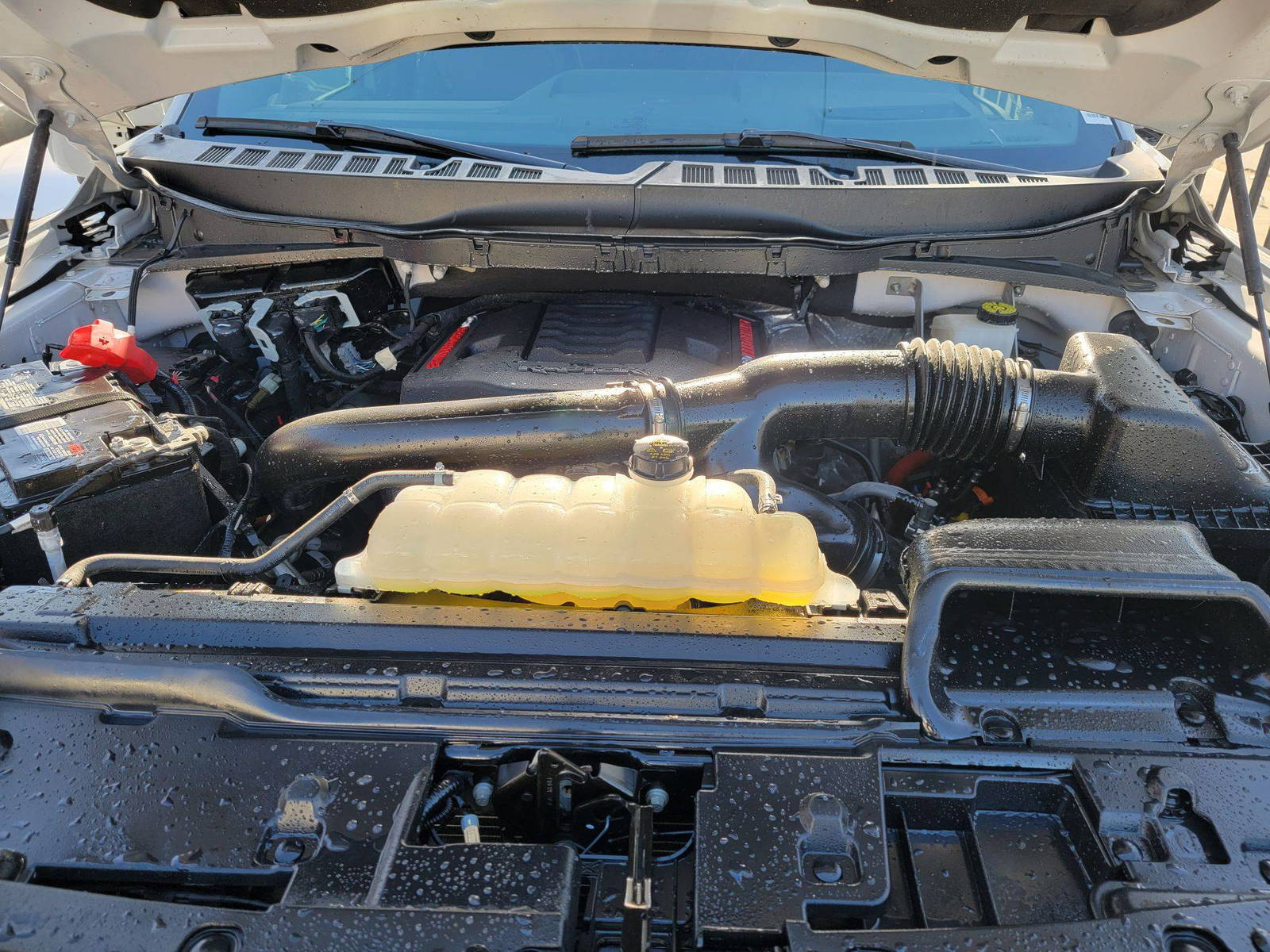 FORD F150 - Raptor 2024 - Marhaba Auction Used Cars - Image 11