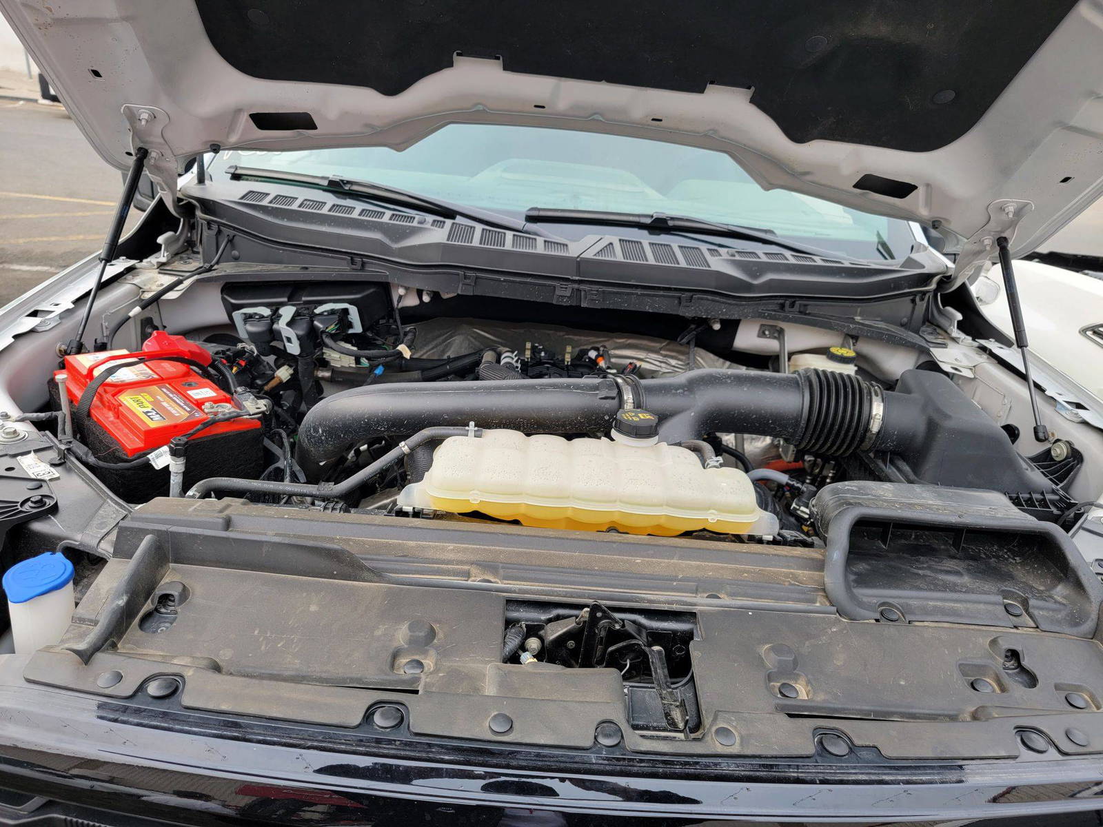 FORD F-150 2024 - Marhaba Auction Used Cars - Image 11