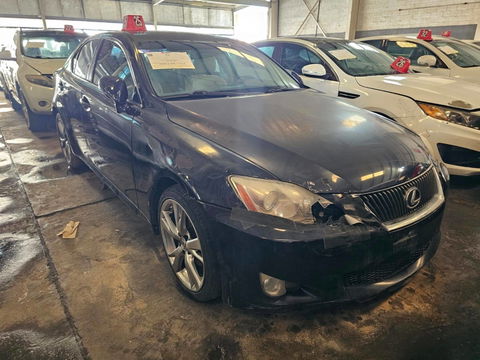 2009 LEXUS IS 250 at Marhaba Auctions