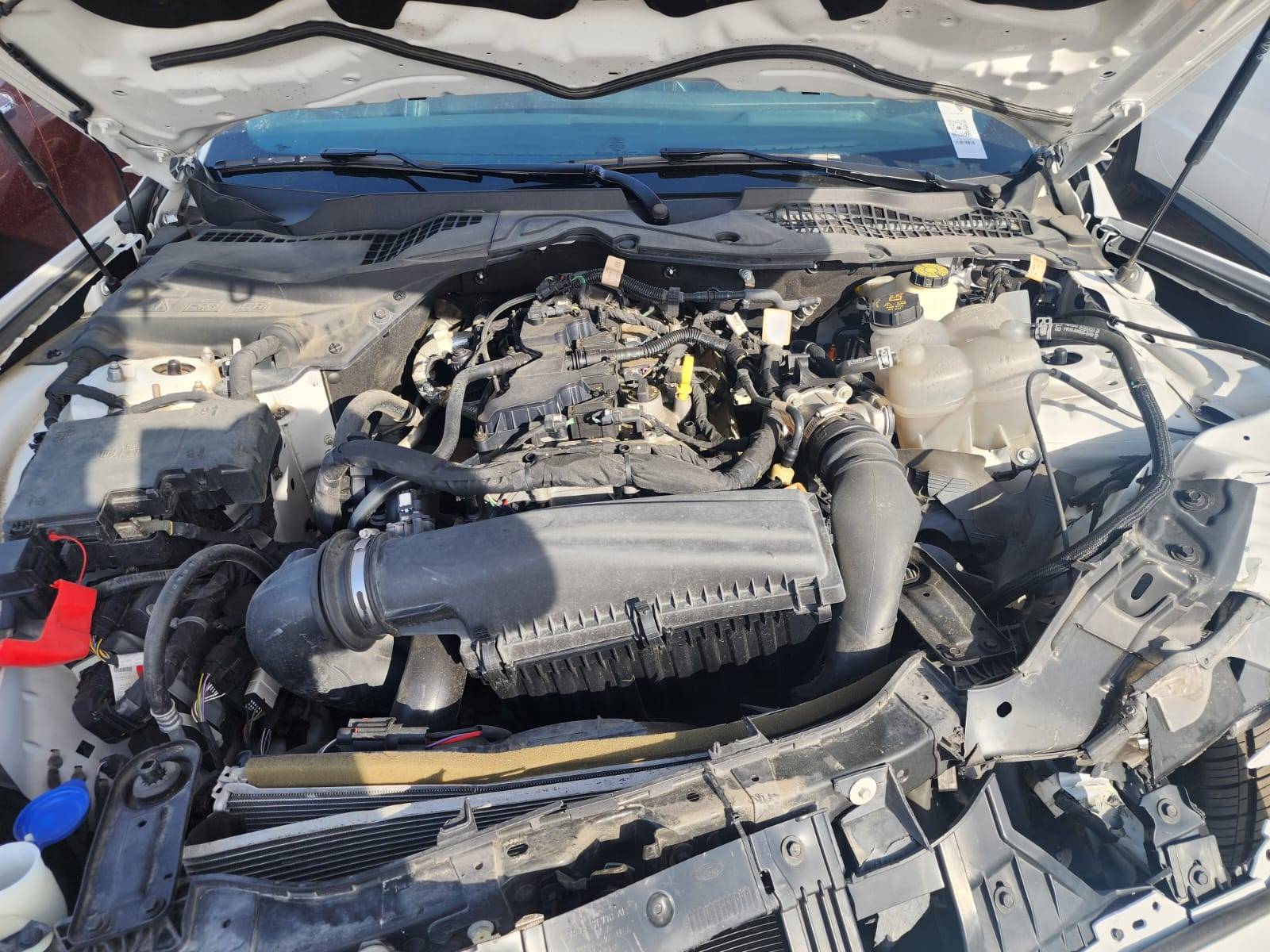 FORD MUSTANG 2024 - Marhaba Auction Used Cars - Image 9