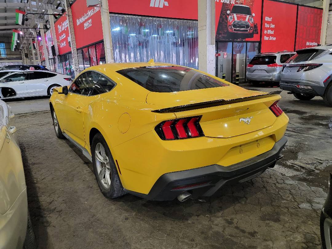 FORD MUSTANG 2024 vehicle photo