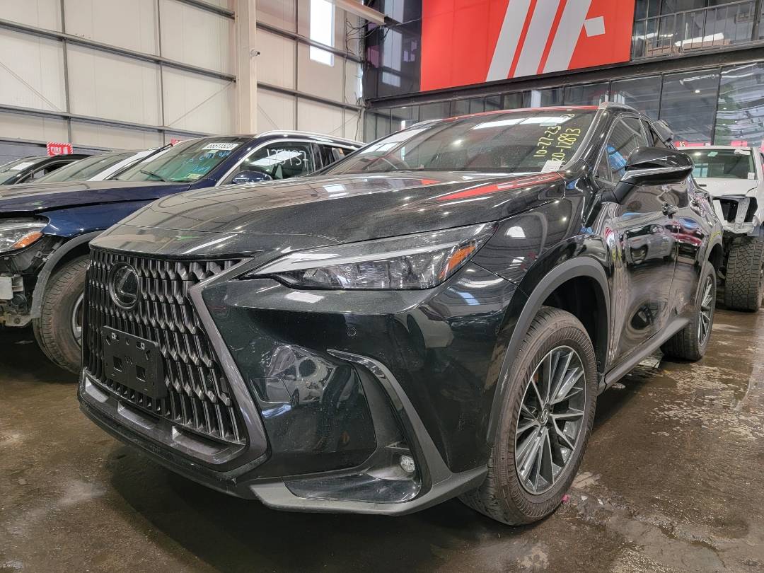 2024 LEXUS NX 350 — 728 Miles — Lot 011842 - Marhaba Auctions Used Cars - Image 5