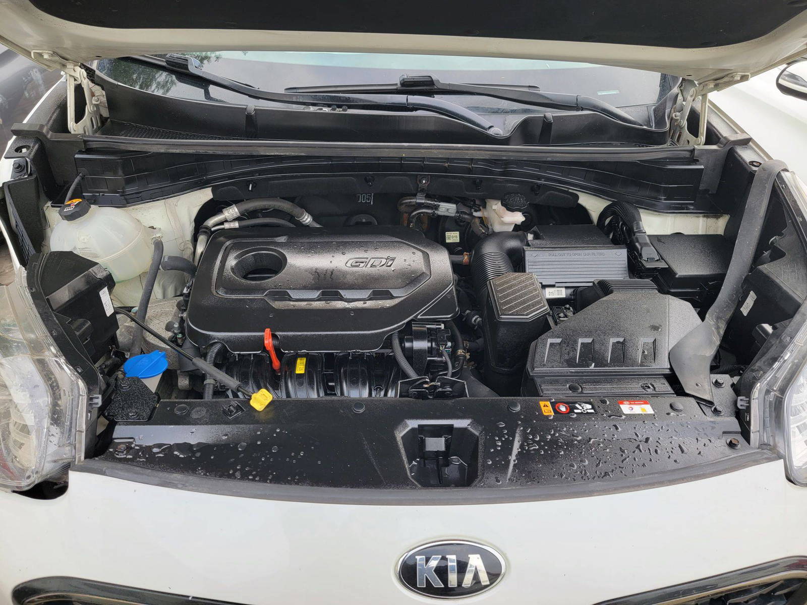 KIA SPORTAGE 2020 - Marhaba Auction Used Cars - Image 14