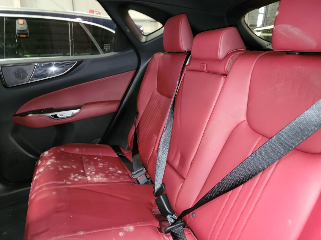 2024 LEXUS NX 350 — 728 Miles — Lot 011842 - Marhaba Auctions Used Cars - Image 10
