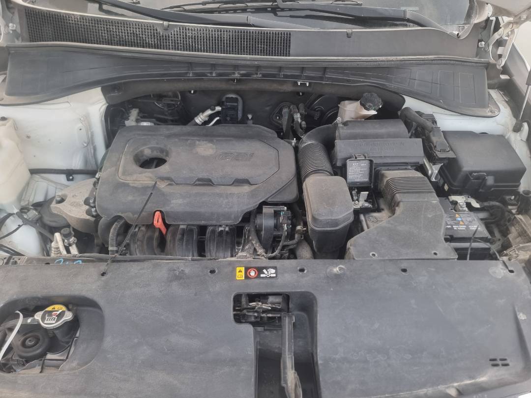 KIA SORENTO 2019 - Marhaba Auction Used Cars - Image 6