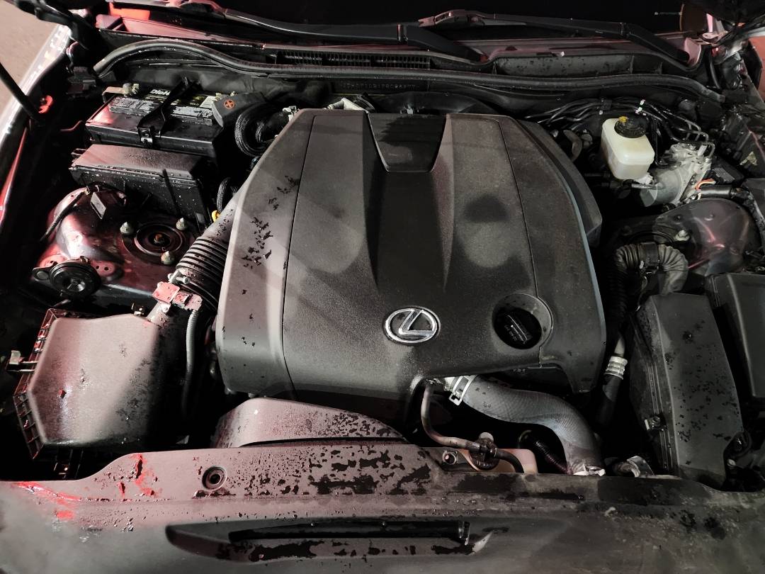 2015 LEXUS IS 250 — 101170 Miles — Lot F5028977 - Marhaba Auctions Used Cars - Image 3