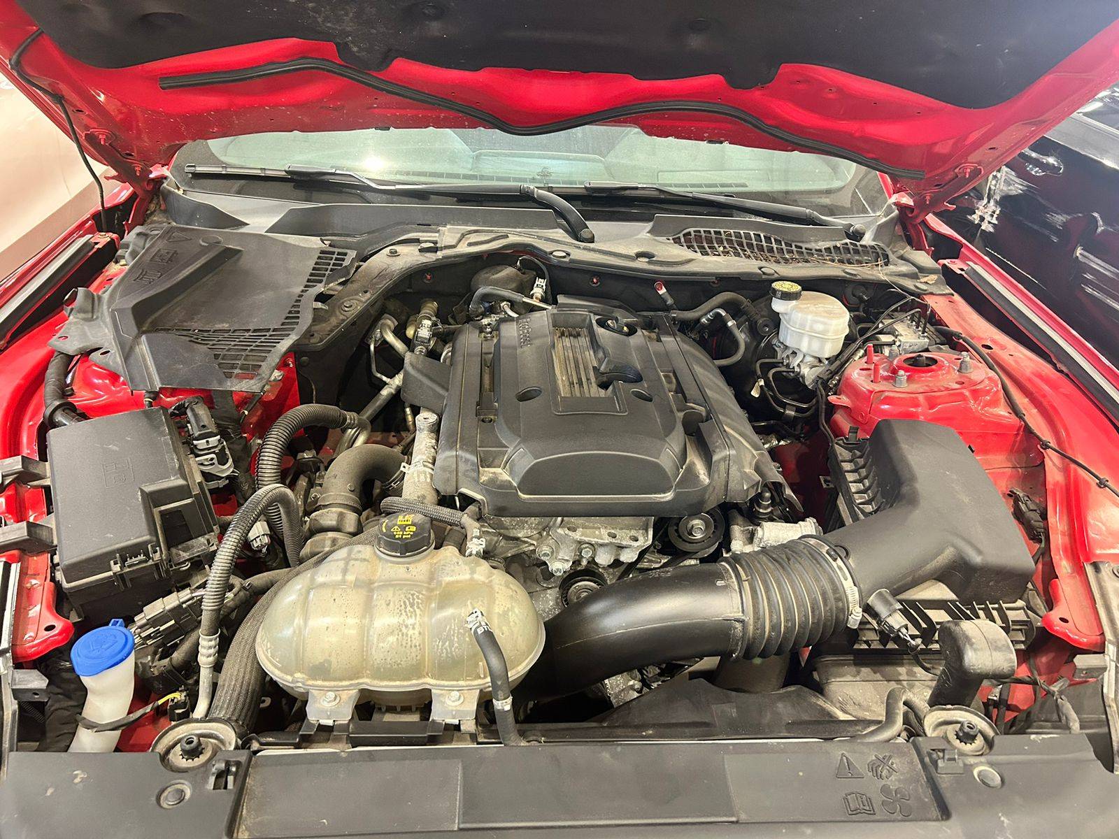2020 FORD MUSTANG — 62385 Miles — Lot 5175381 — Main - Marhaba Auctions Used Cars - Image 10