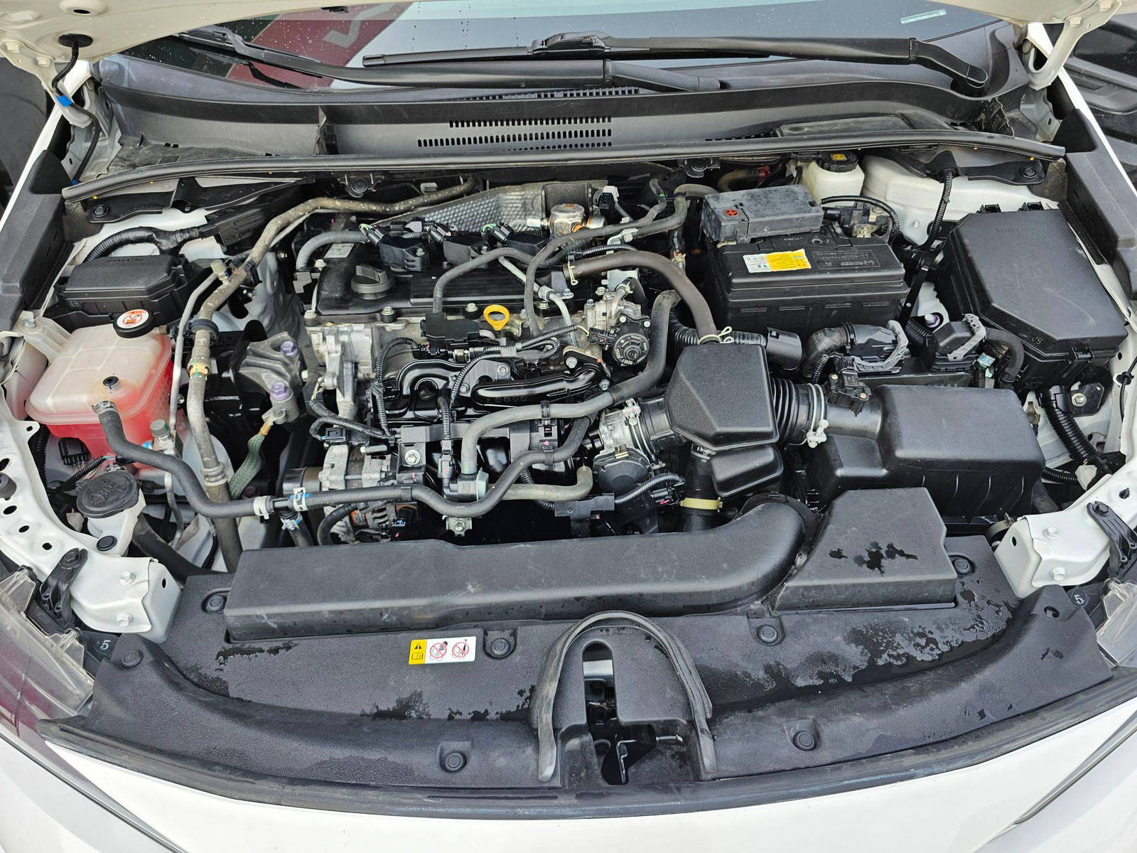 2021 TOYOTA LEVIN — 54412 KM — Lot 0MG516982 — Souq - Marhaba Auctions Used Cars - Image 11