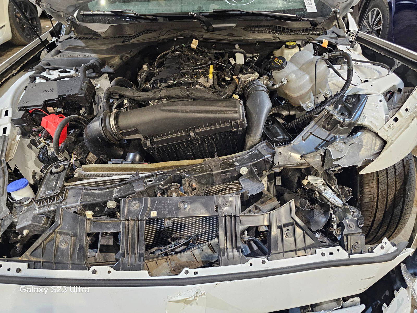 FORD MUSTANG 2024 - Marhaba Auction Used Cars - Image 10