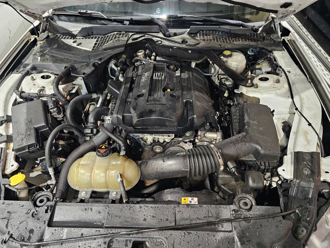 2018 FORD MUSTANG — 118640 Miles — Lot 9J5109820 — Souq - Marhaba Auctions Used Cars - Image 9