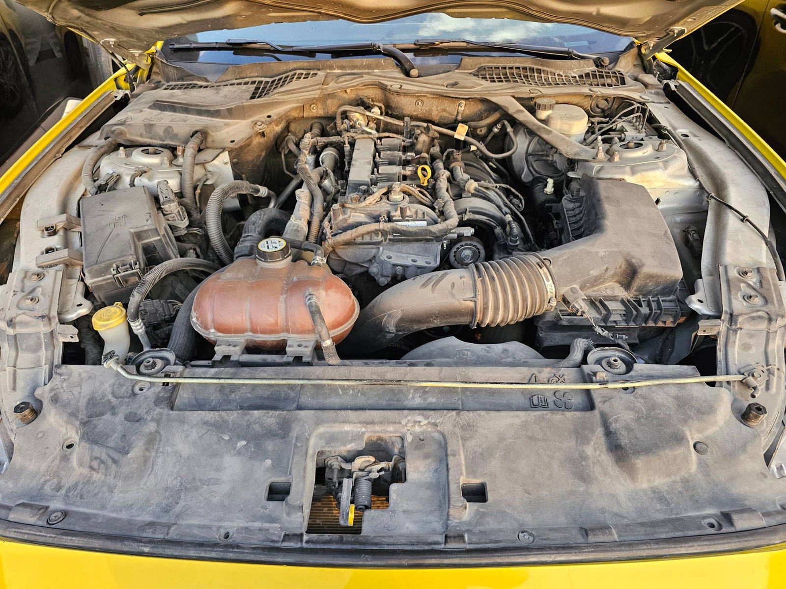 FORD MUSTANG 2019 - Marhaba Auction Used Cars - Image 10