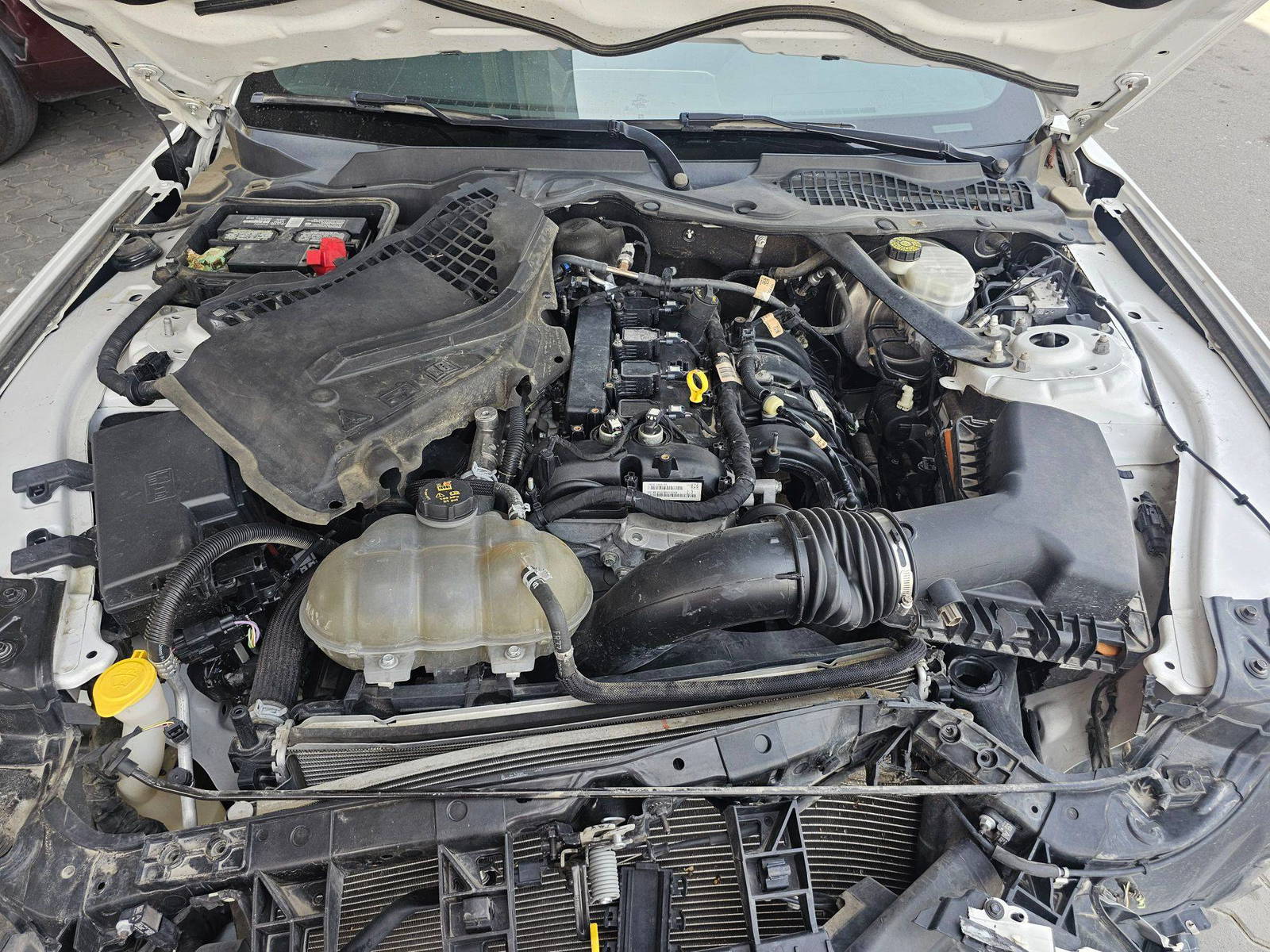 2019 FORD MUSTANG — 66767 Miles — Lot 6K5170088 — Souq - Marhaba Auctions Used Cars - Image 9