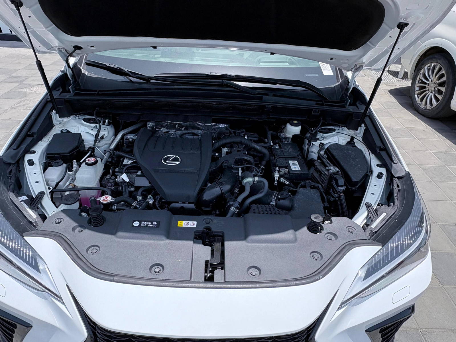 2023 LEXUS NX 350 — 12941 KM — Lot 024018 — UMM RAMOOL - Marhaba Auctions Used Cars - Image 24
