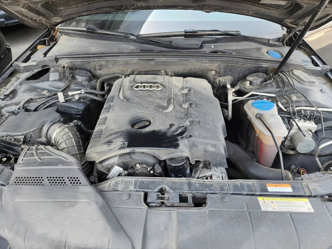 2013 AUDI AG — 131411 KM — Lot 44852 — Souq - Marhaba Auctions Used Cars - Image 13
