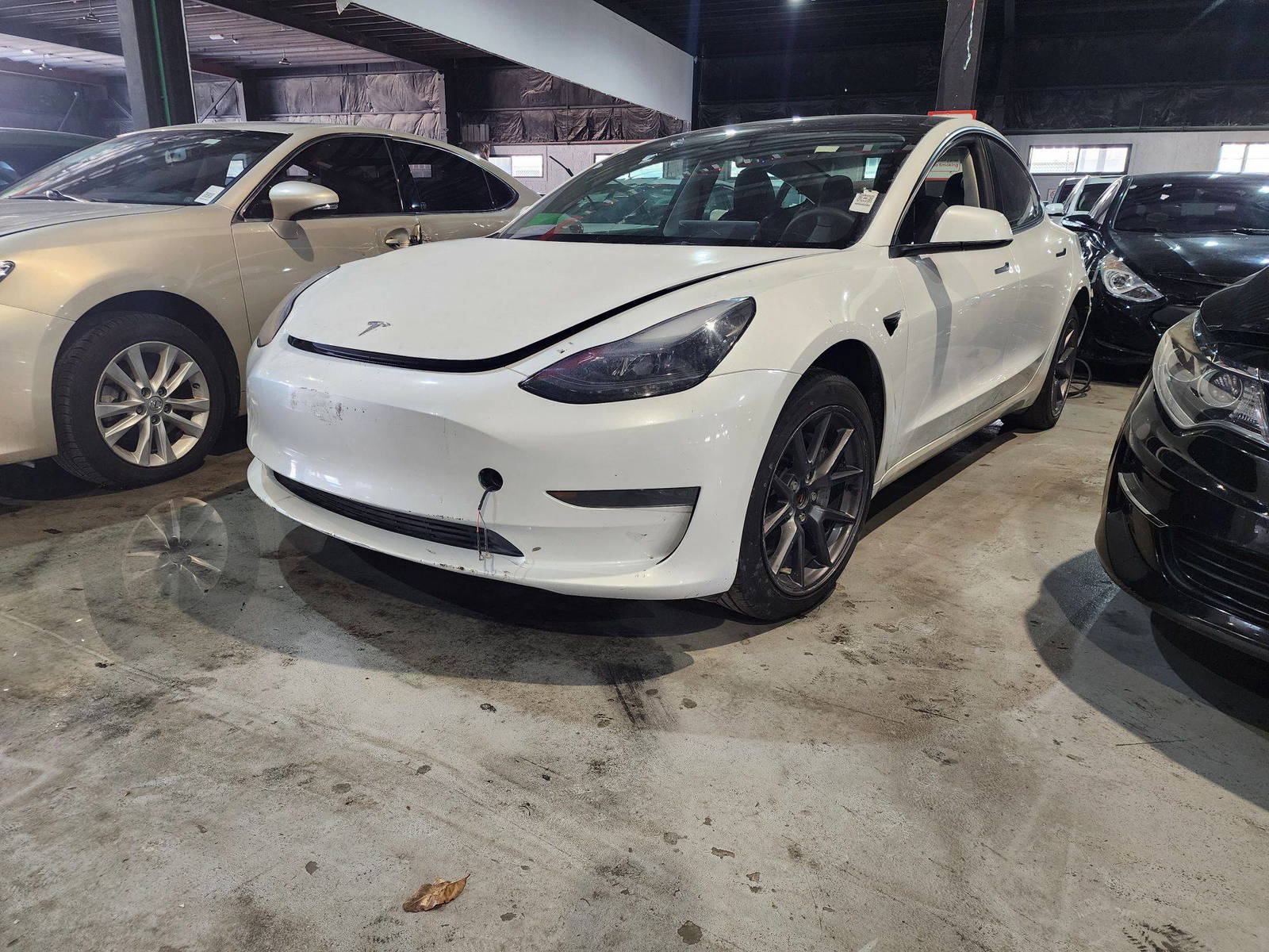 TESLA MODEL 3 2023 - Marhaba Auction Used Cars - Image 14