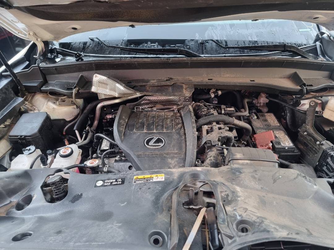 LEXUS TX 350 2024 - Marhaba Auction Used Cars - Image 7