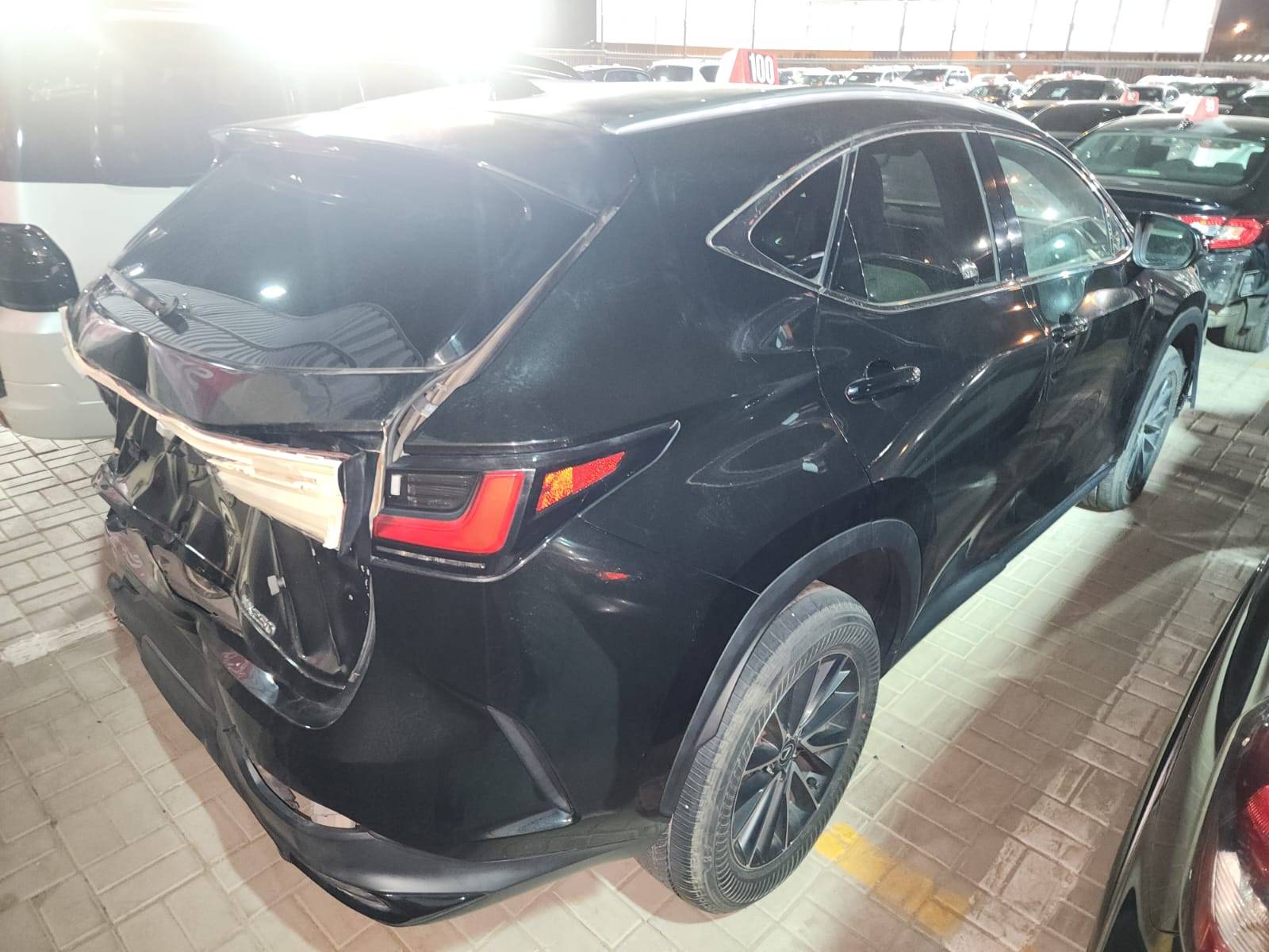 LEXUS NX 250 2024 - Marhaba Auction Used Cars - Image 8