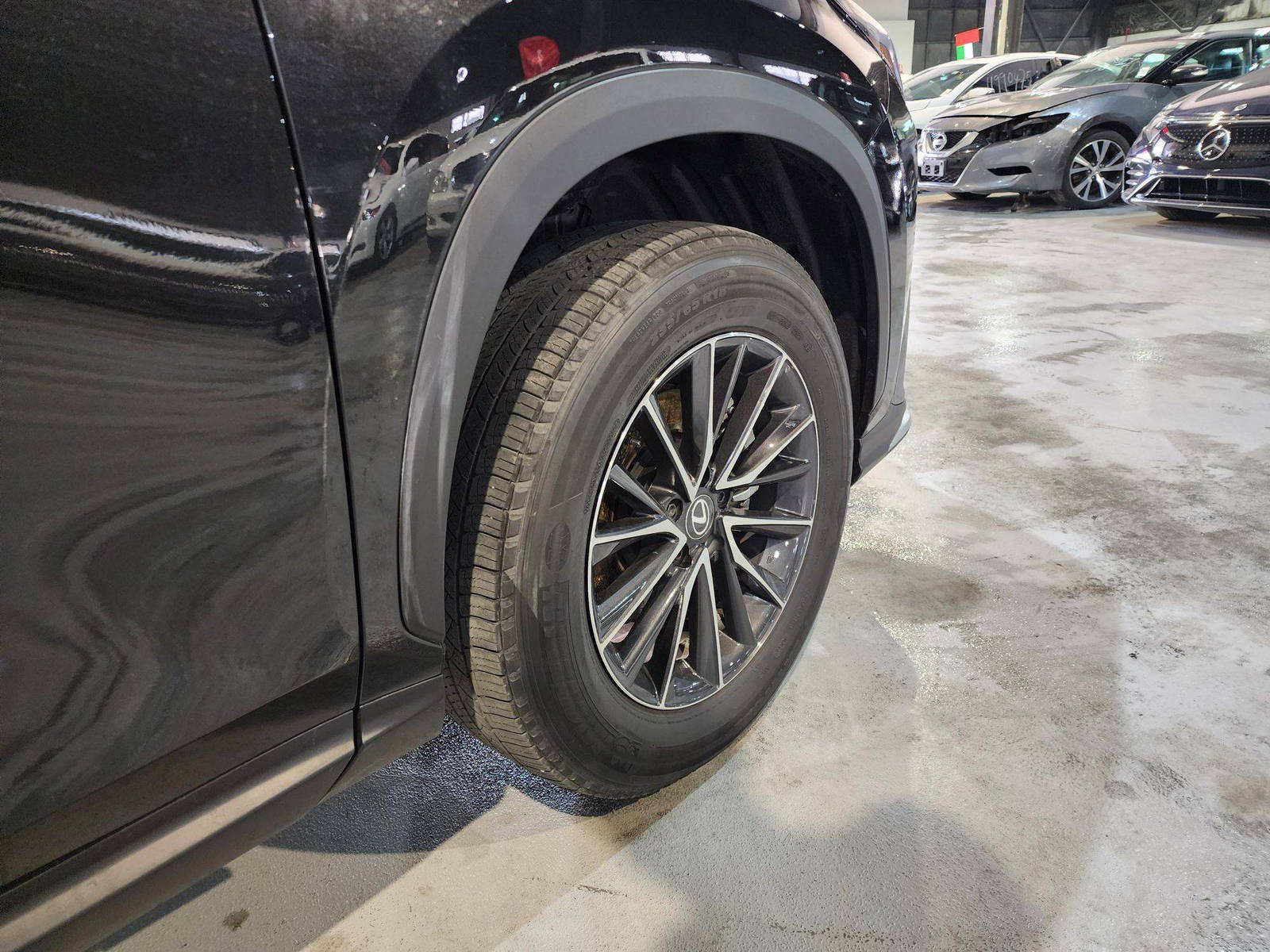 2024 LEXUS NX 250 — 4642 Miles — Lot 60694814 — Al Quoz - Marhaba Auctions Used Cars - Image 17
