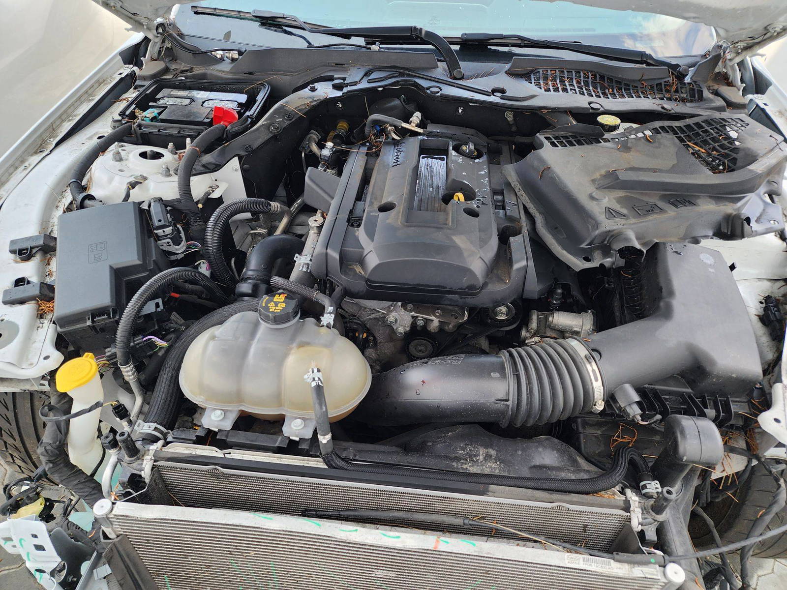 2019 FORD MUSTANG — 70459 Miles — Lot 38056754 - Marhaba Auctions Used Cars - Image 7