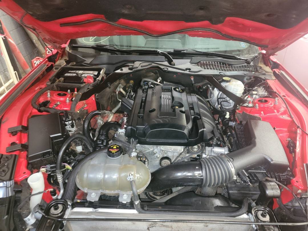 2019 FORD MUSTANG — 92566 Miles — Lot 106500 - Marhaba Auctions Used Cars - Image 9